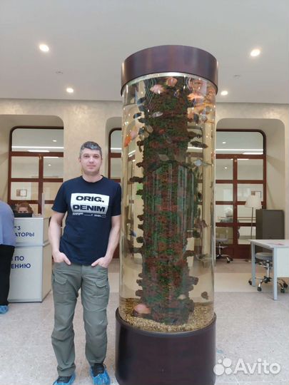 Чистка аквариума, Обслуживание аквариума