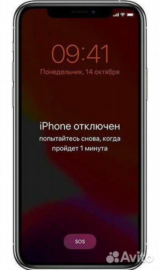 Разблокировка iPhone, iPad, watch
