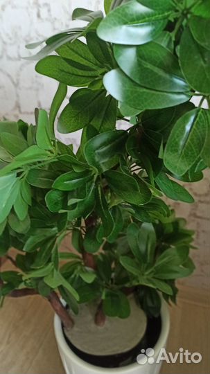 Искусственные цветы