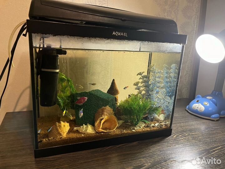 Украшение для аквариума