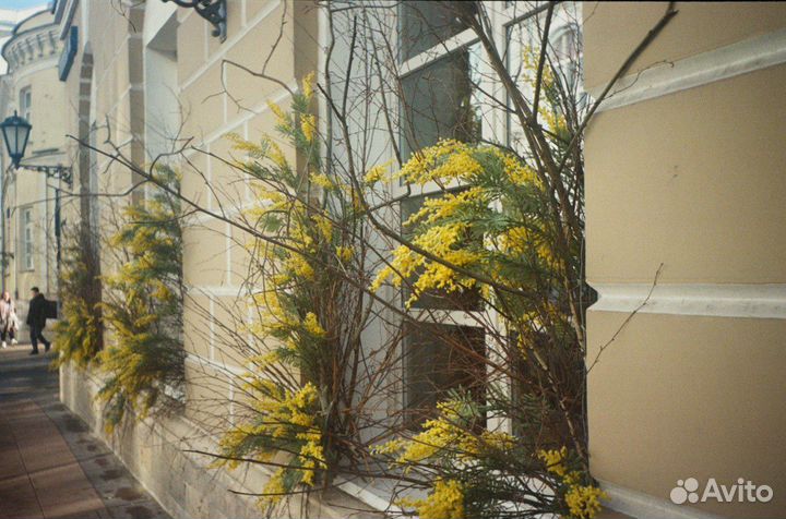 Пленочная камера