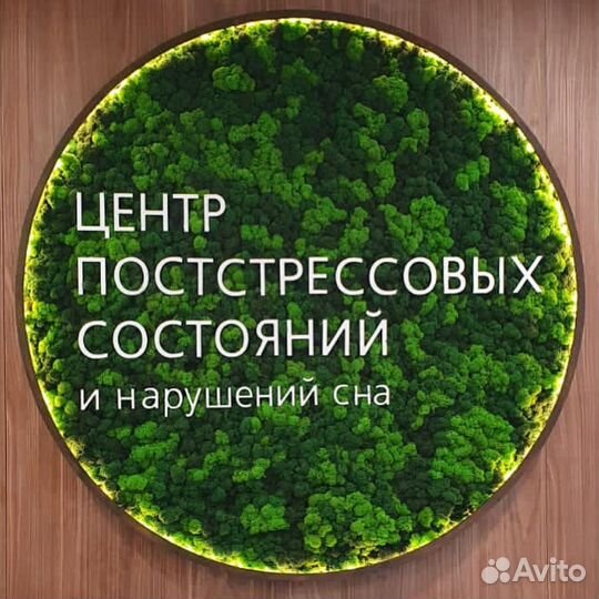 Фитопанно из мха