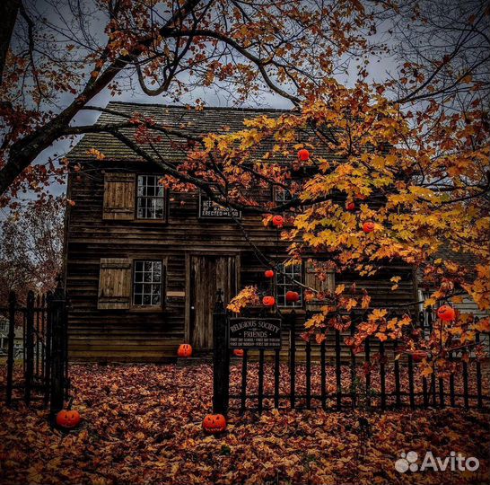 Репетитор начальная школа,5 класс