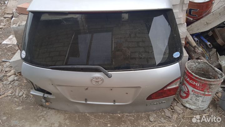 Дверь багажника ipsum аcm 21