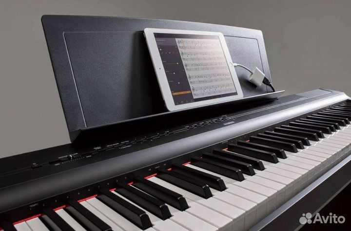 Цифровое пианино пpokат Roland fp-10