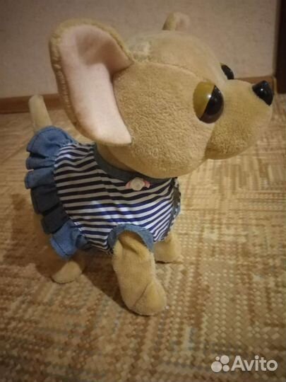 Собачка чичилав