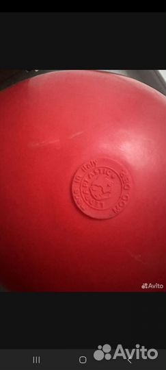 Лошадка прыгун Роди