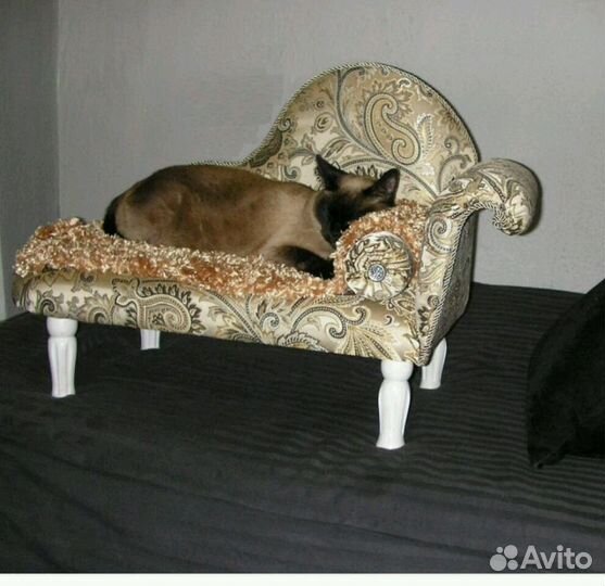 Передержка кошек и собак