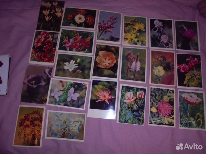 Цветы изд.Правда 1960-1988 гг чистые
