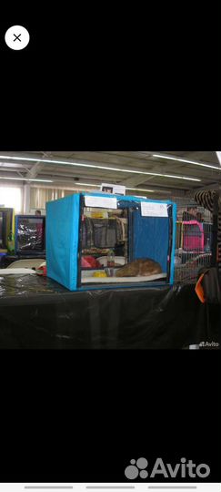 Выставочная палатка для кошек