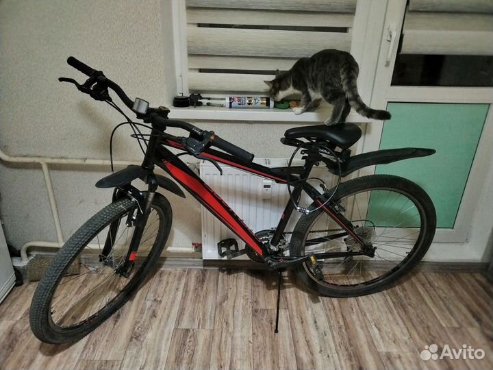 Велосипед горный forward flash 1.0 26