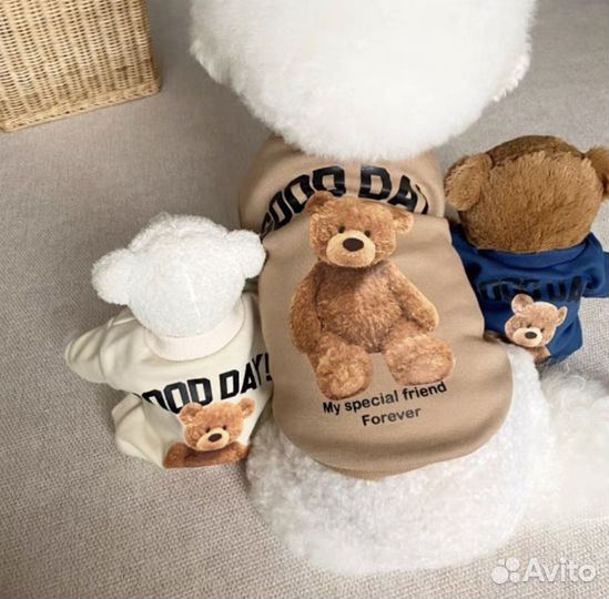 Одежда для собак мелких пород