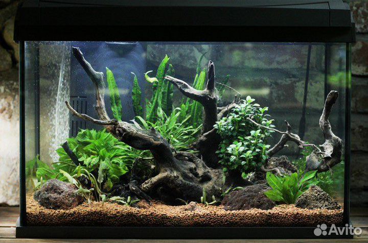 Обслуживание аквариума