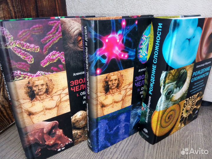 Эволюция человека. Рождение сложности