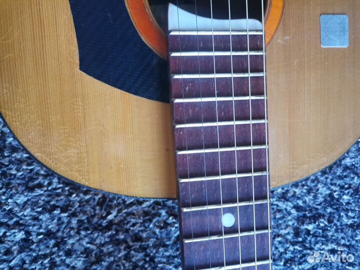 Акустическая гитара Луначарка