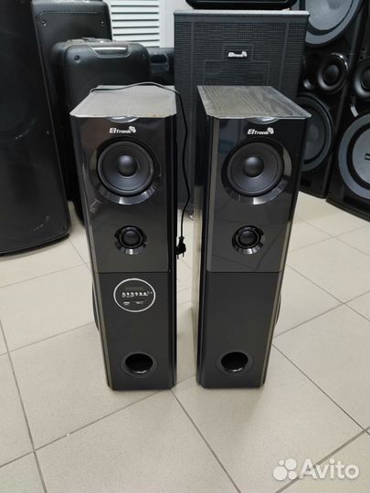 Акустическая система Eltronic 20-82