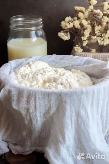 Творог сливочное и топленое масло