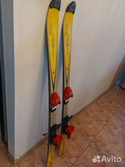 Горные лыжи