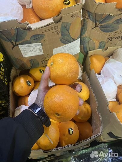 Апельсины