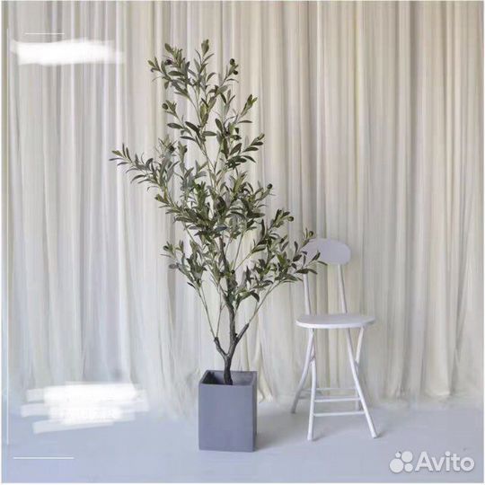 Пампасная трава декор растение