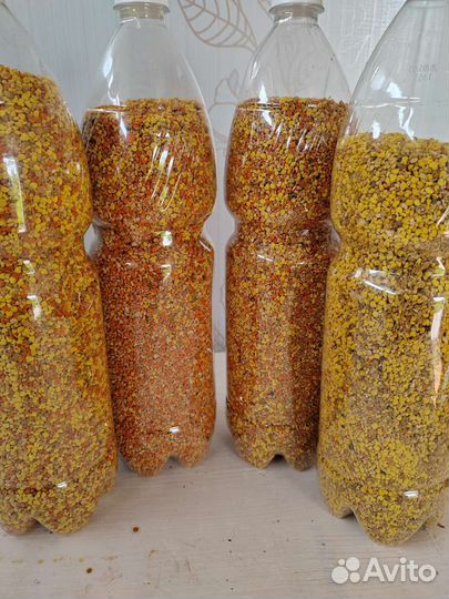 Пыльца пчелиная