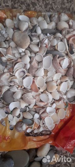 Ракушки, камушки для творчества