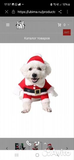 Новогодний костюм для собаки