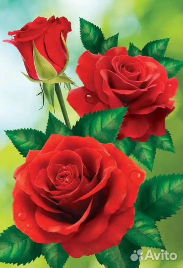 Алмазная живопись