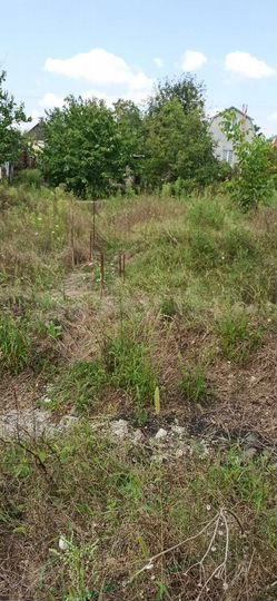 Участок 5 сот. (СНТ, ДНП)