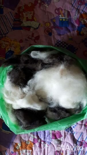 Собачья шерсть пух