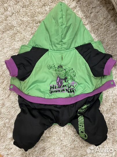 Одежда для собак