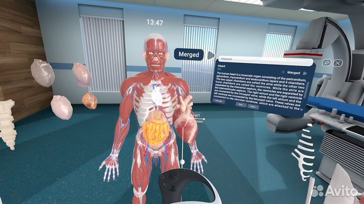 Human Anatomy VR2 PS5