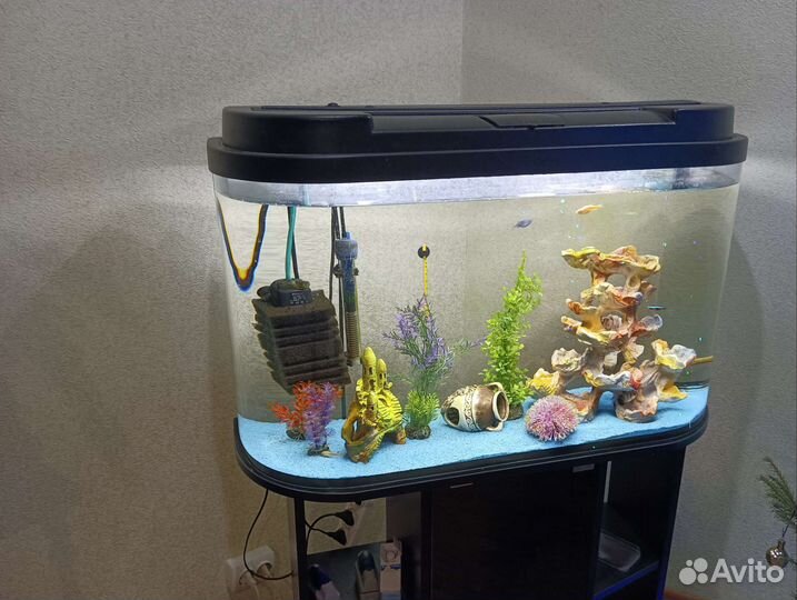 Аквариум