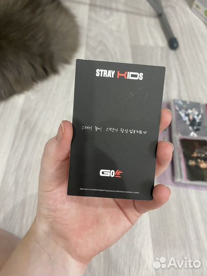 Карты stray kids минхо