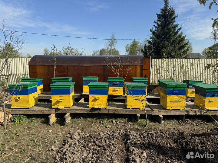 Ульи для пчел