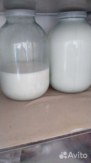 Продам козье молоко