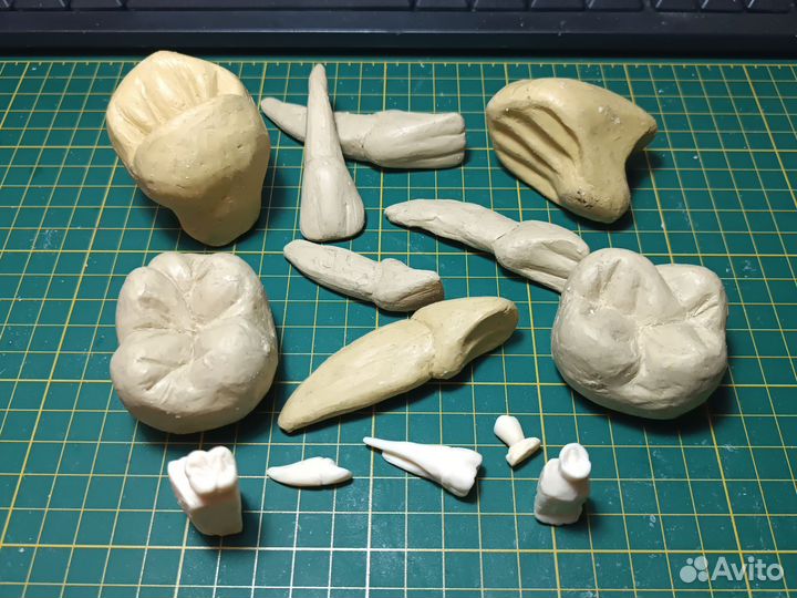 Зубы из пластелина