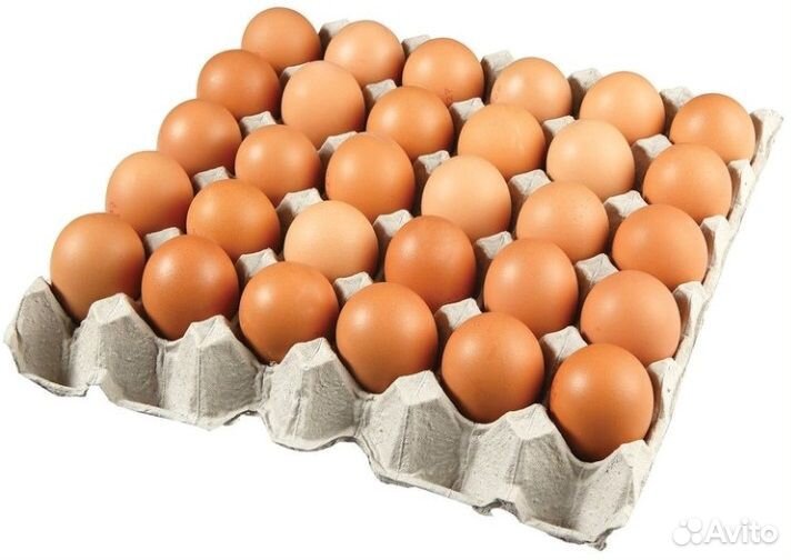 Яйцо куриное пищевое оптом любая категория