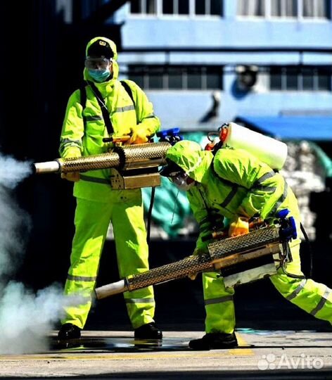 Уничтожение клопов, тараканов, плесени, запахов