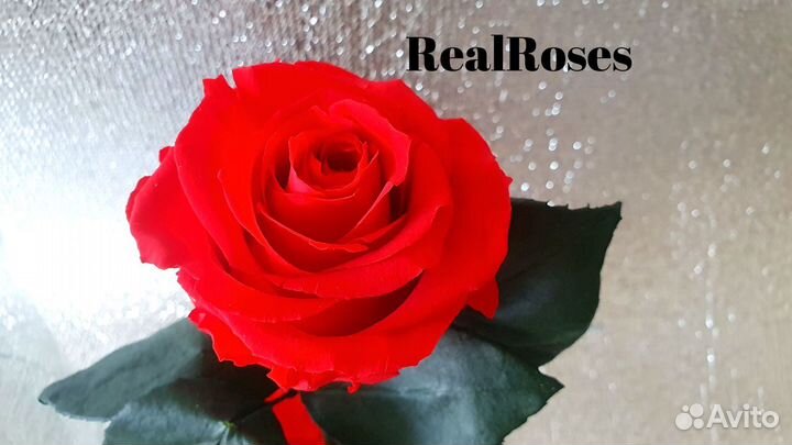 Роза в колбе