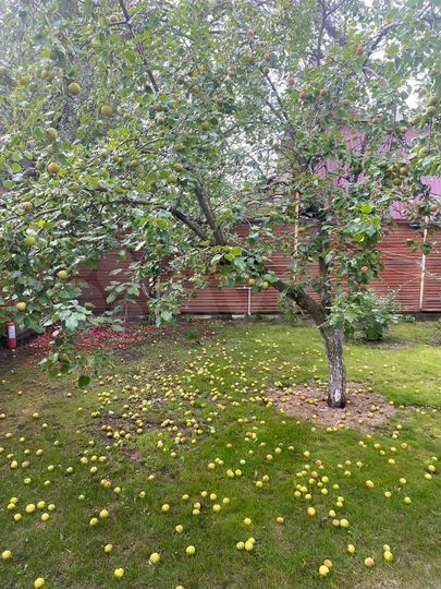 Дача 30 м² на участке 4,5 сот.