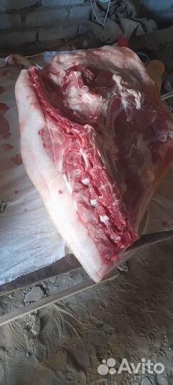 Мясо свинина