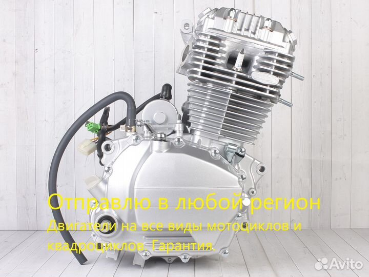 Двигатель 165 fmm