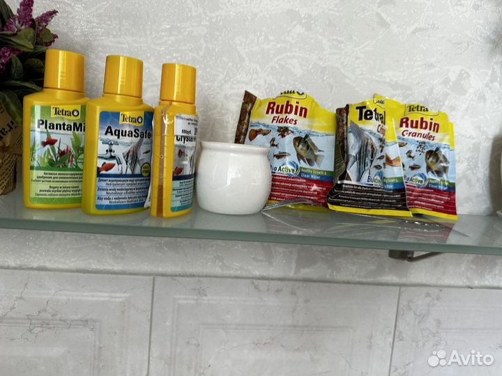 Аквариум с рыбками