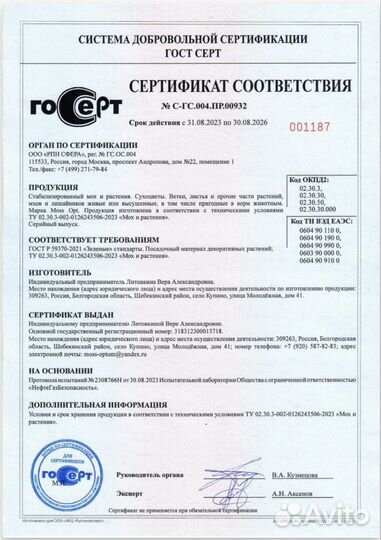 Декоративный (стабилизированный) мох и панели