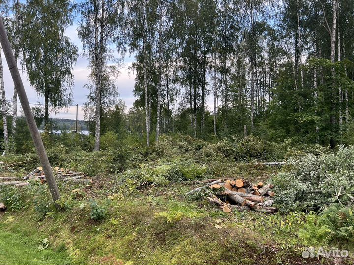 Разнорабочие