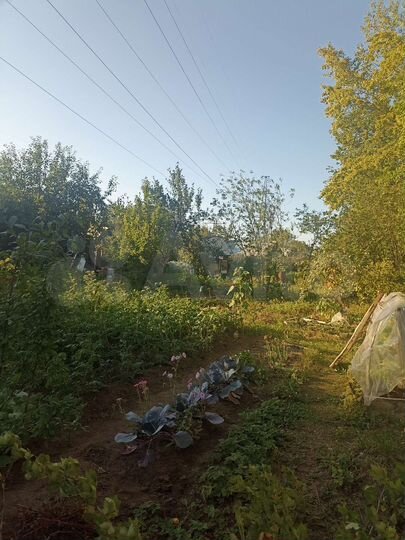 Участок 5 сот. (СНТ, ДНП)