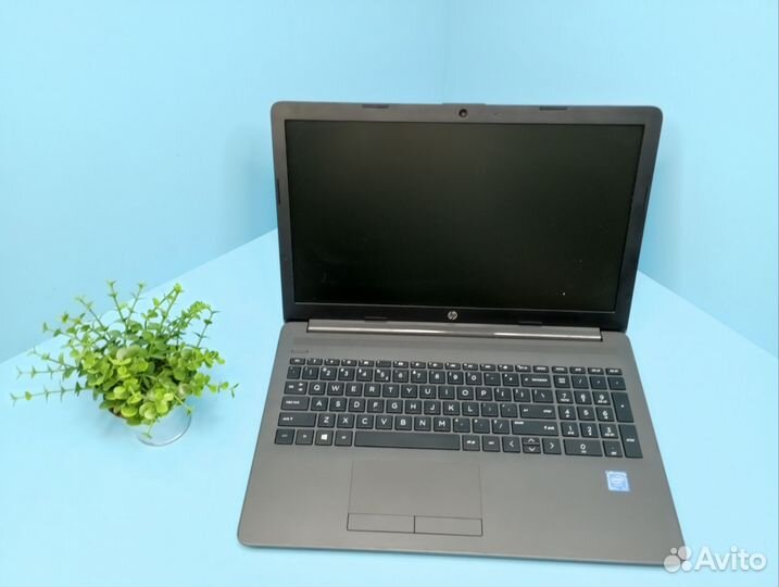 Свежий нр для работы и учебы