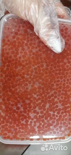 Икра кеты без септика 2023