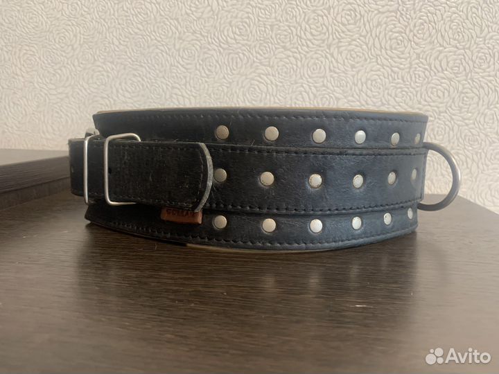 Ошейник для собак кожа